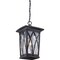 Quoizel Grover Outdoor Hanging Lantern GVR1910K - alternate 5